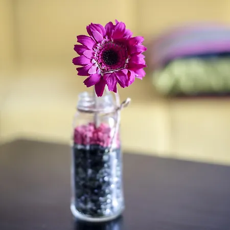 Le 4 Stagioni Centro 5*